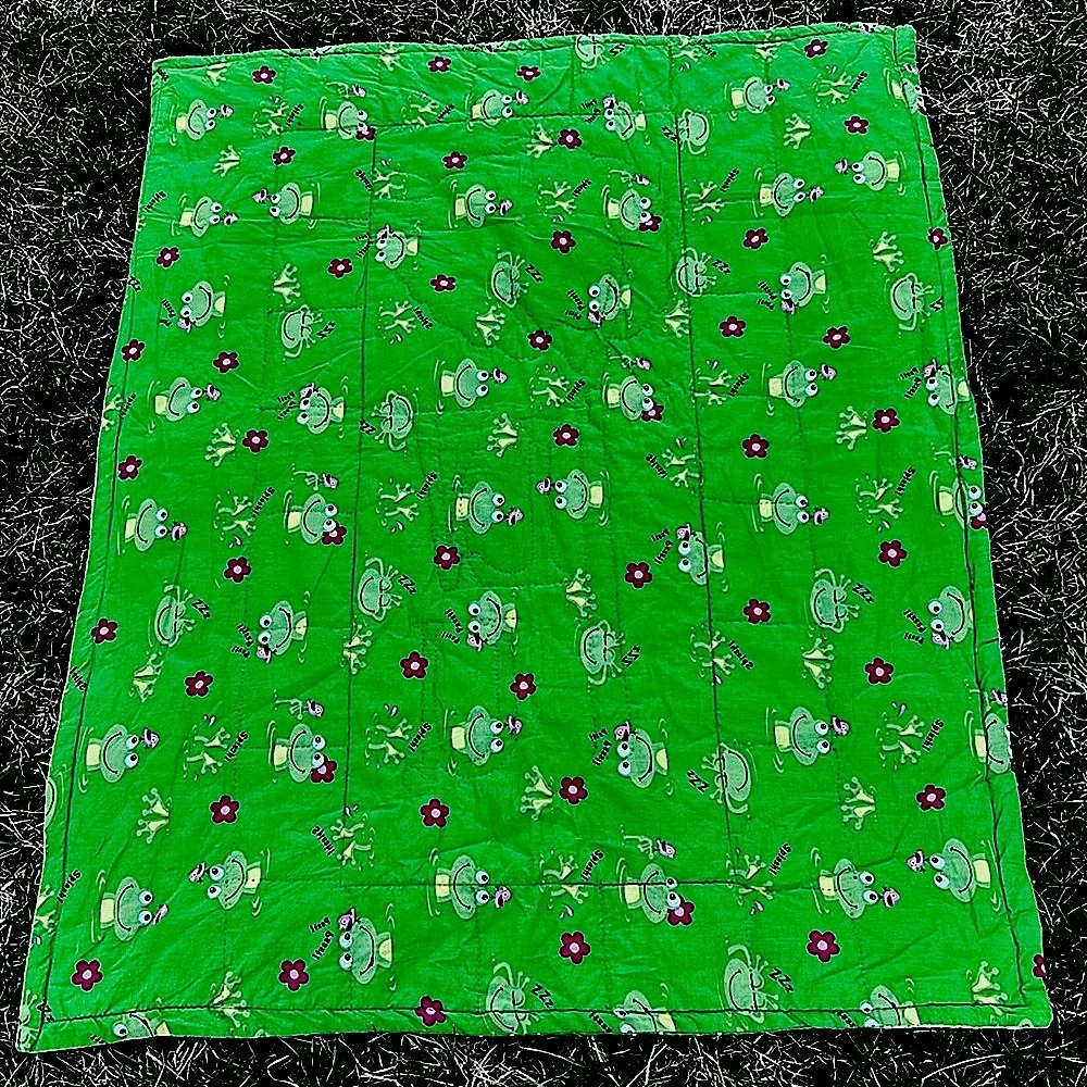 Child Quilt Hand Quilted ABCs Frogs Animals Bugs
